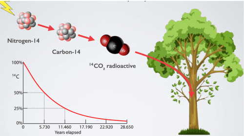 Screen Shot 2024-04-18 at 2.56.08 PM