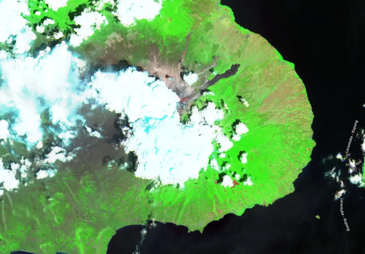 Immagine satellitare del vulcano Lewotobi Laki-laki l'8 ottobre 2024. Crediti: CopernicusEU/Sentinel-2, EO Browser, The Watchers